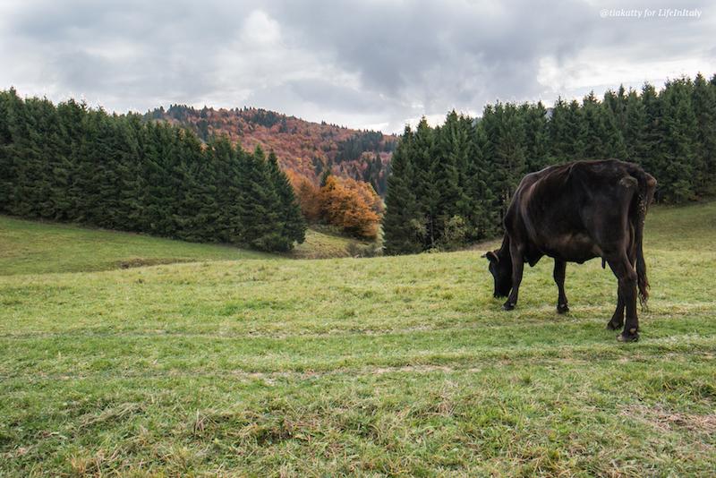 italy in october